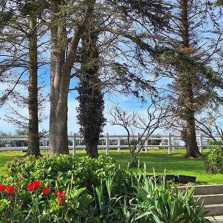 Spacieux à Avec Terrasse Apartamento