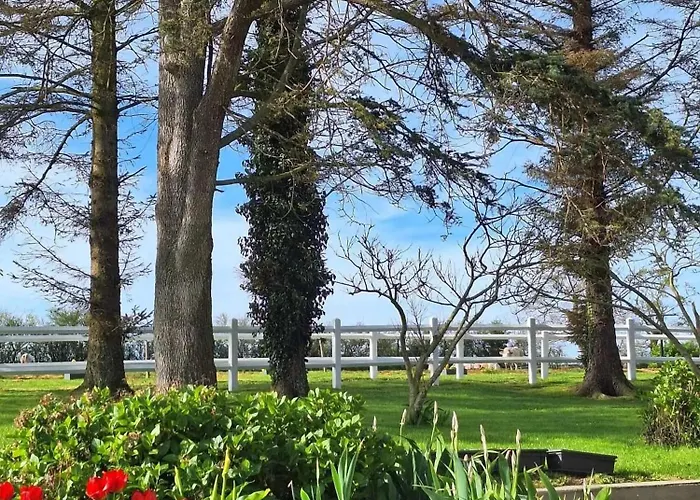 Spacieux à Avec Terrasse Appartamento